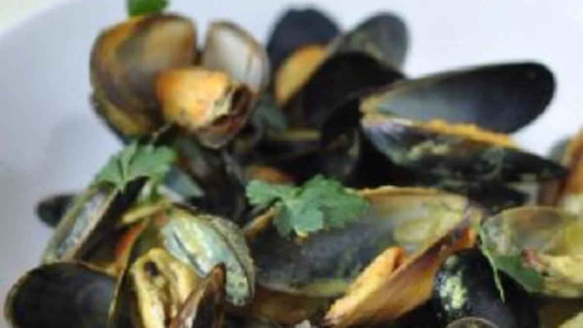 Curry Mussels
