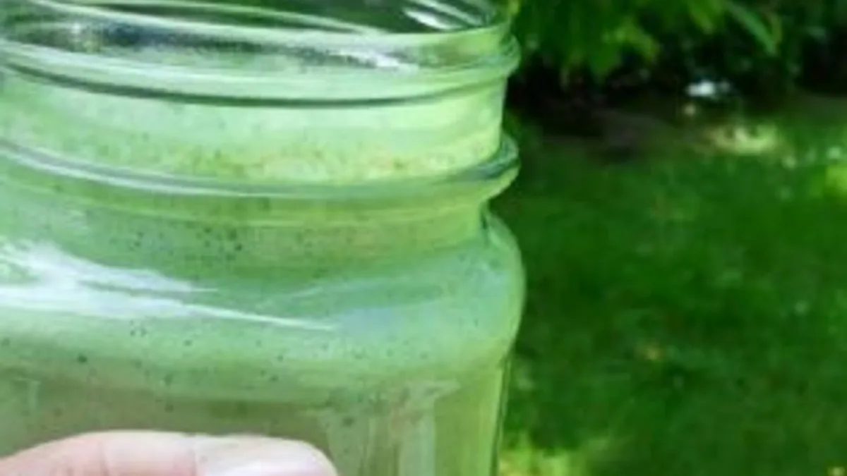 Skinny Green Monster Smoothie